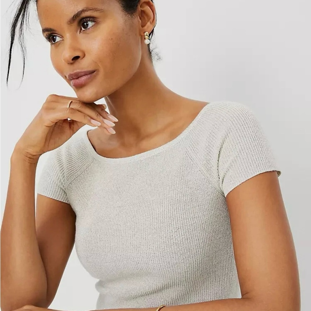 Ann Taylor Cream Shimmer Short Sleeve Sweater Blouse. Size Small. Brand NWT